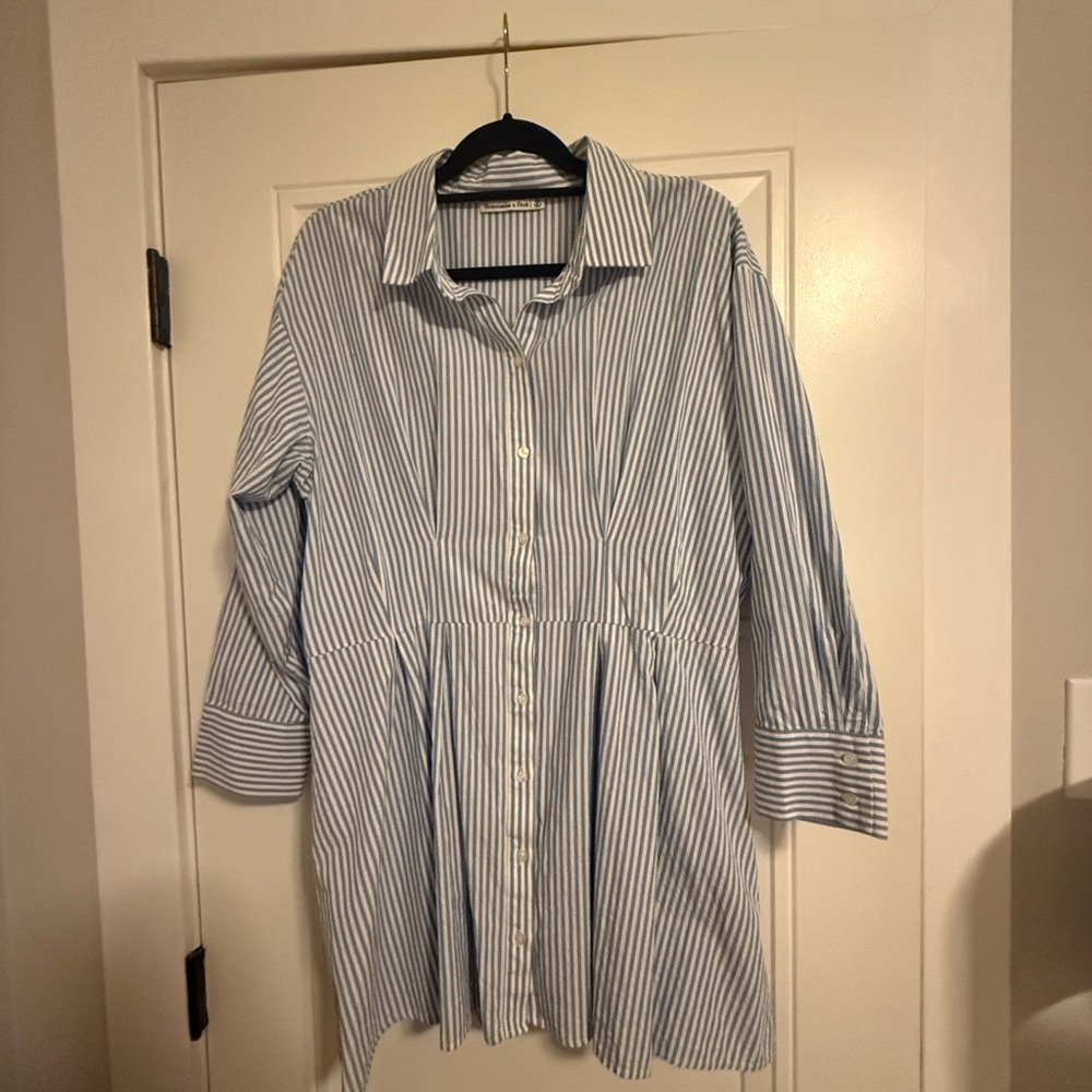 Abercrombie Blue and White Striped Button-Up Dress with cinched waist